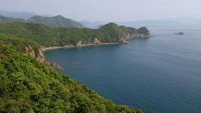 大アオリイカと知恵くらべ